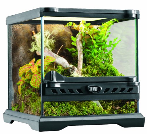 エキゾテラ・爬虫類ゲージ 爬虫類用ケージ エキゾテラ(大)おまけ付き